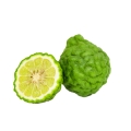 Bergamot