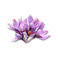 Saffron