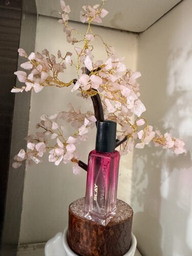 Slay Perfume for Women - 20 ML photo review